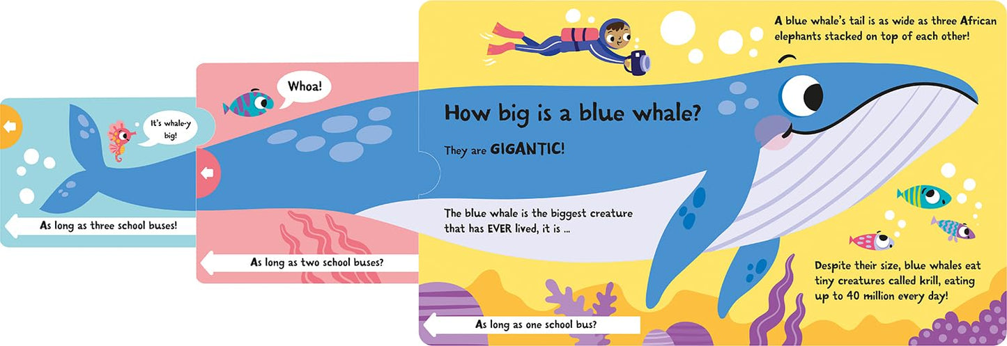 How Wide is a Whale?