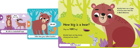 How Big is a Bear?
