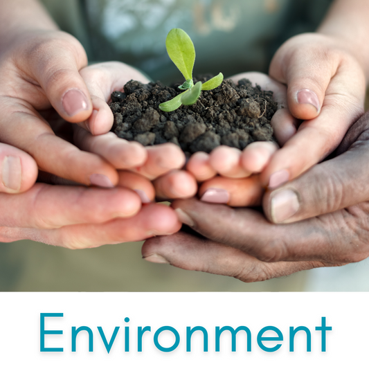 Ocean Explorers Pack