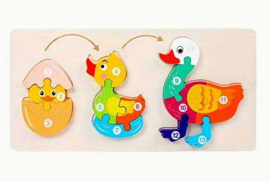 Duck Lifecycle Wooden Puzzle