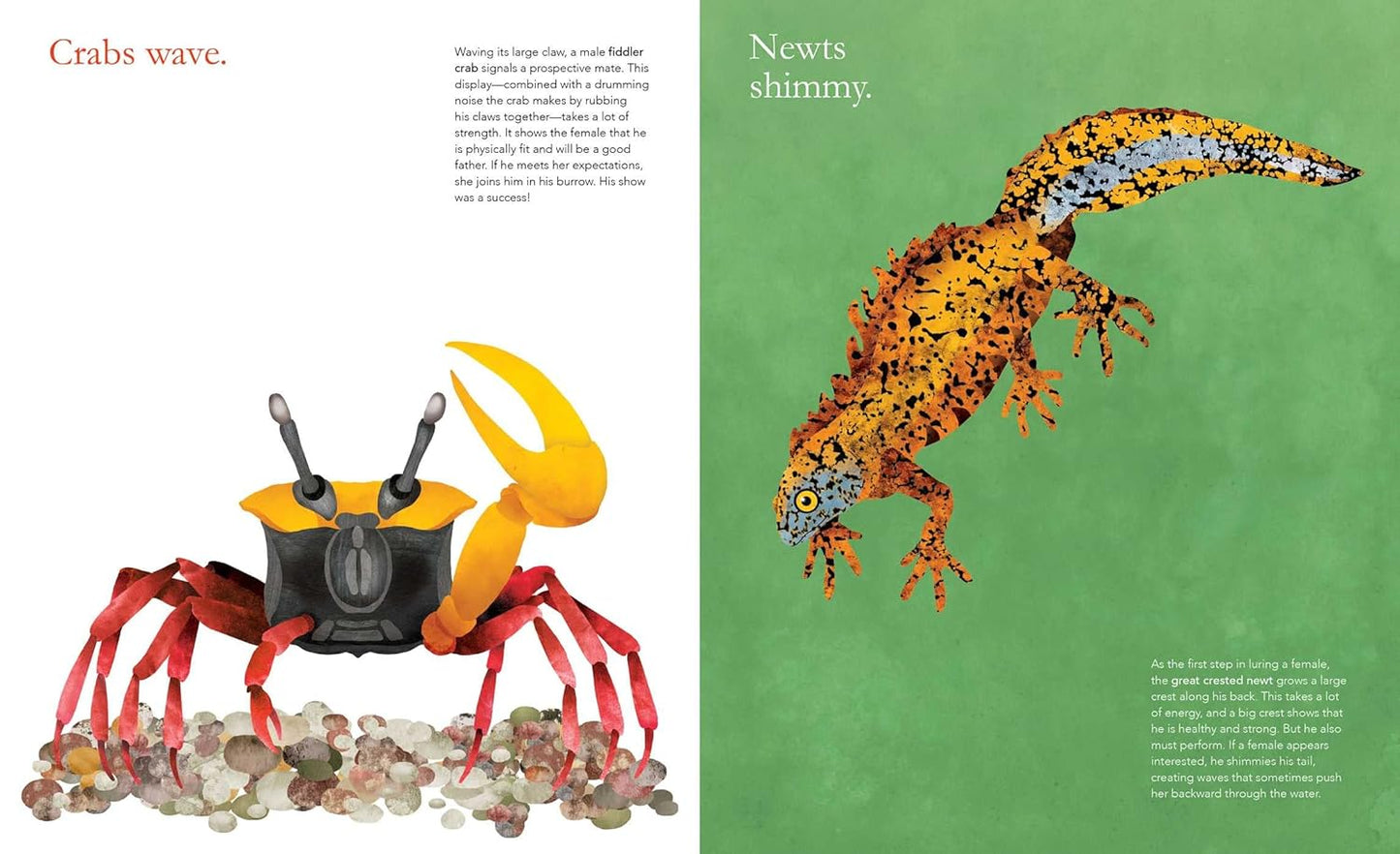 Awesome Animals Pack