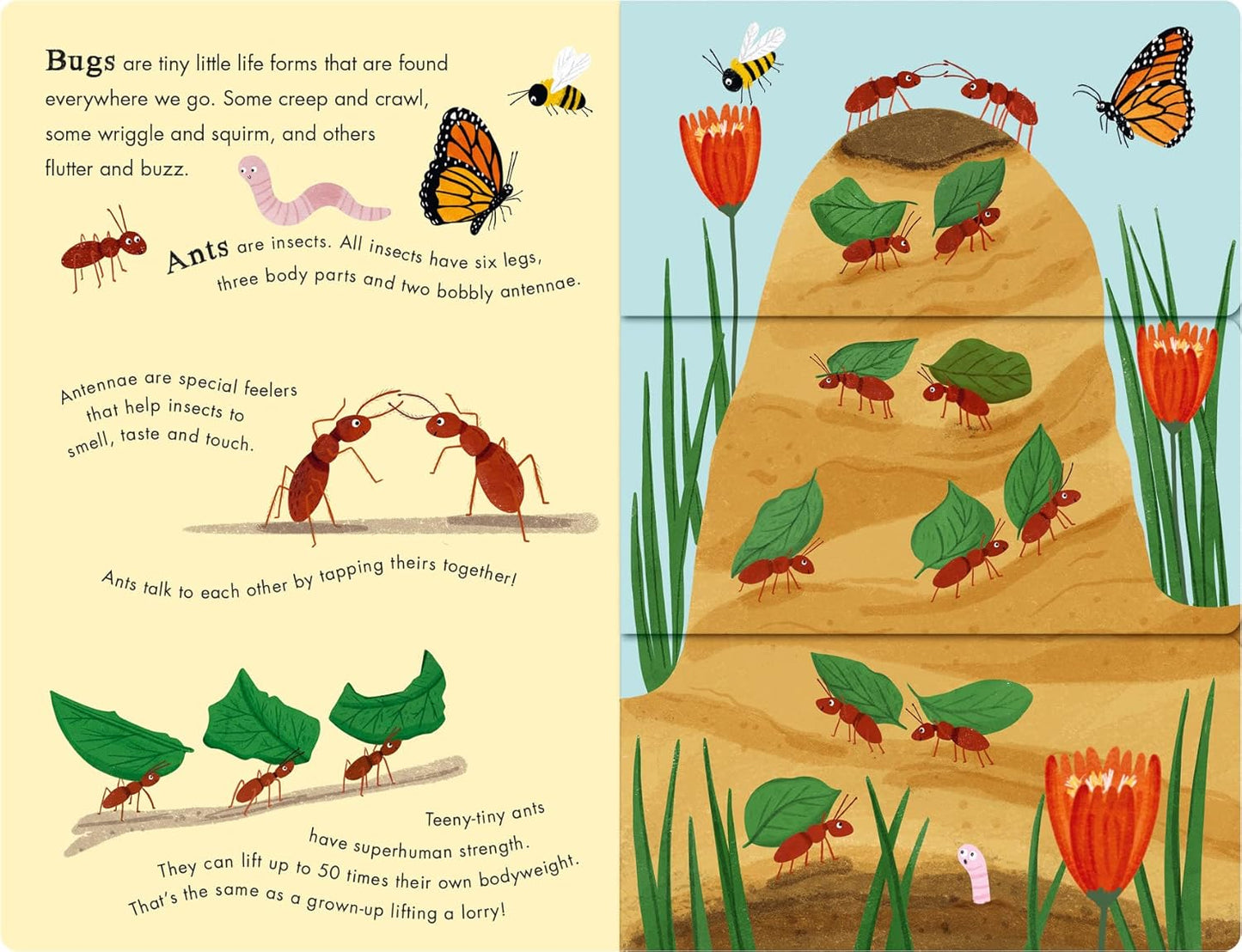 Bees & Beetles: A Flip-Flap Book of Bugs
