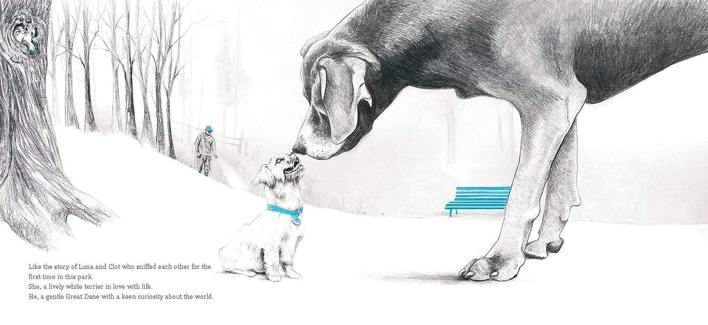 The Blue Bench