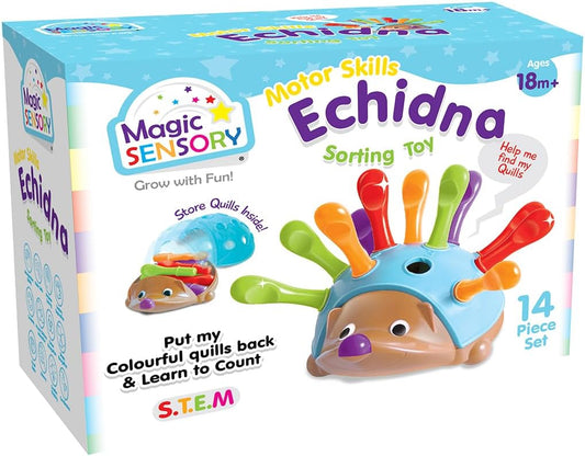 Echidna Sorting Toy
