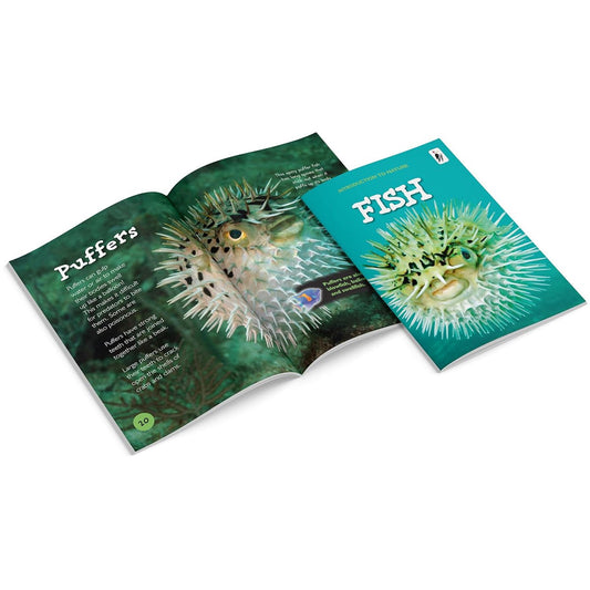 Introduction to Nature Set 10