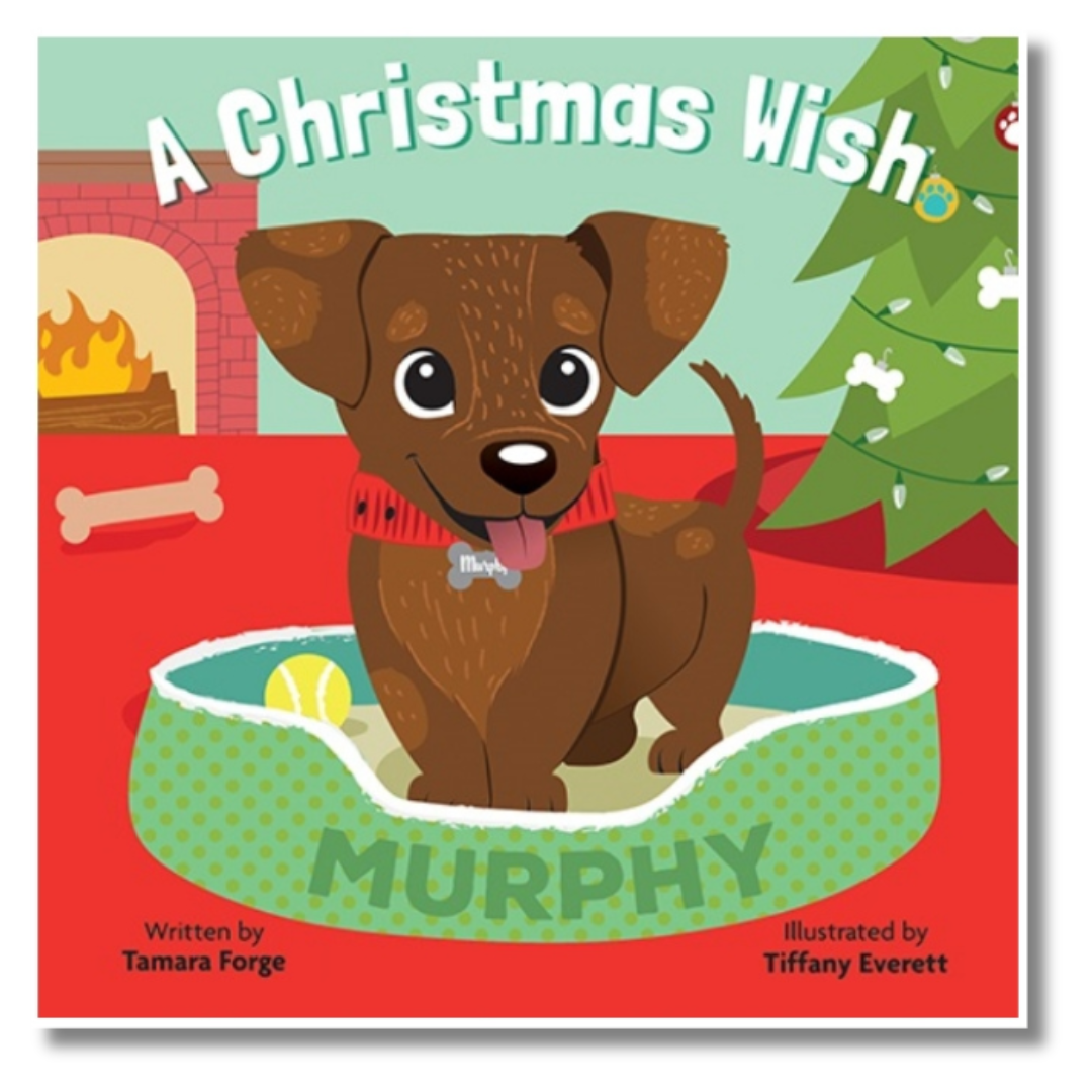 A Christmas Wish board book – early learning centres ages 0–2