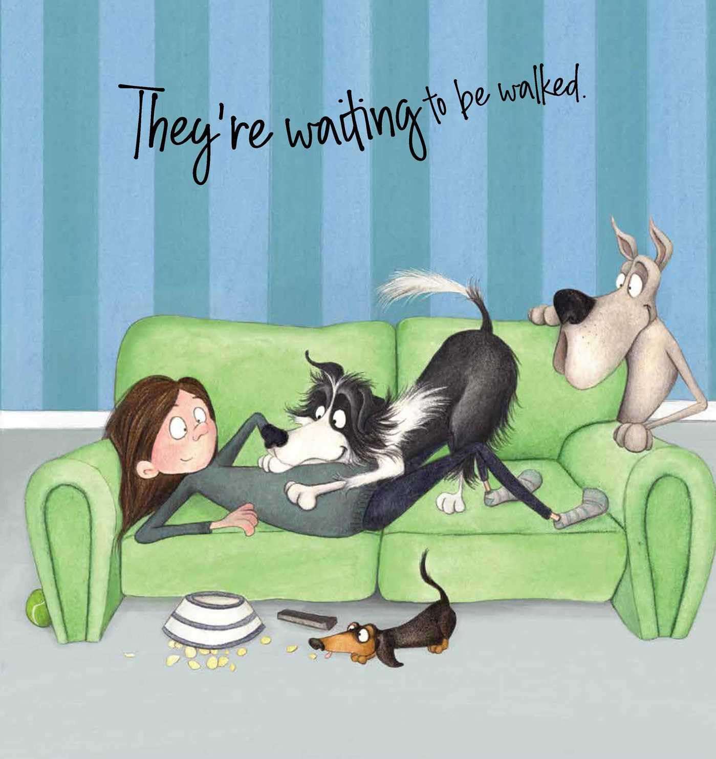 Animal Antics Collection - 5 Book Set