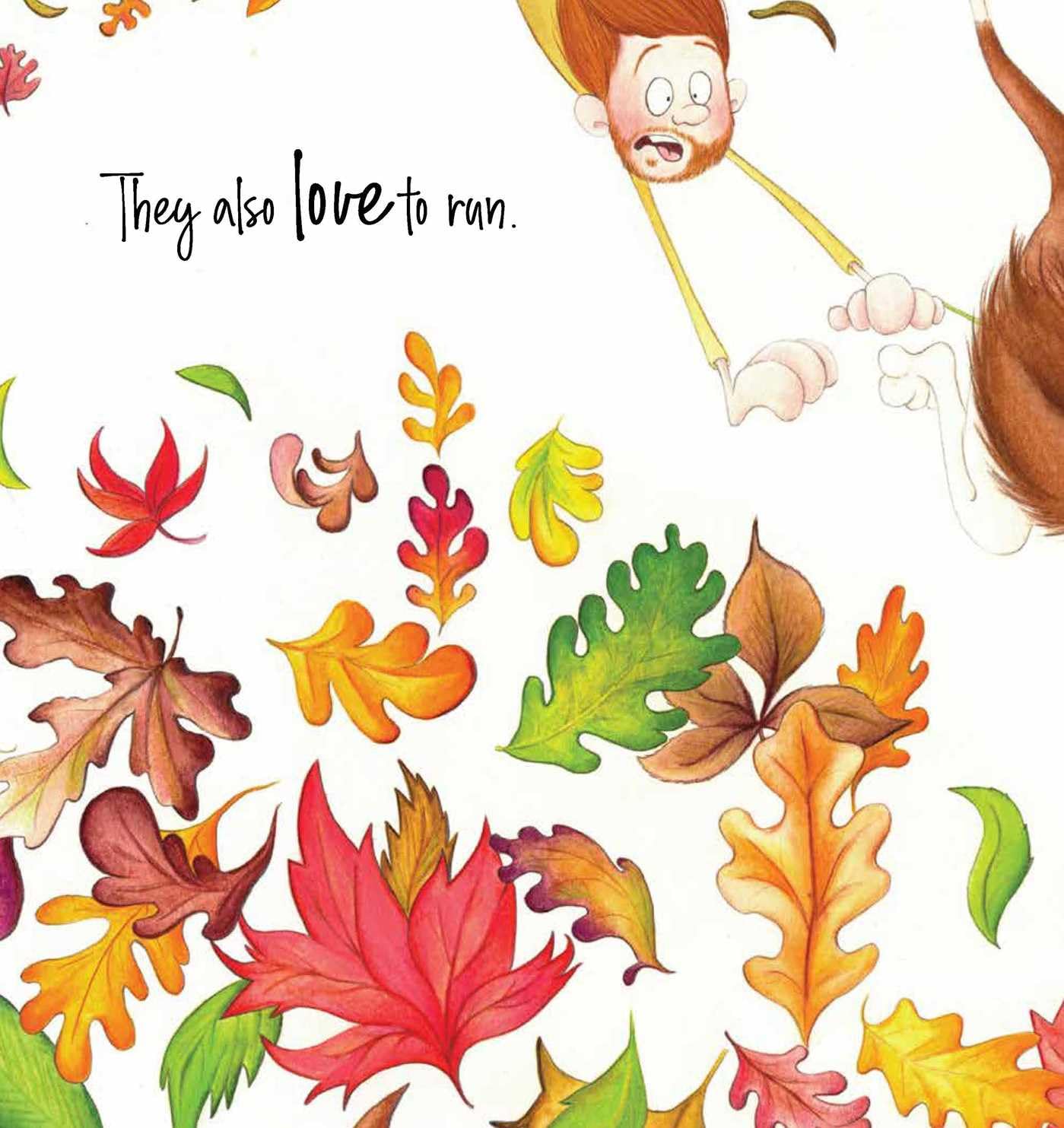 Animal Antics Collection - 5 Book Set