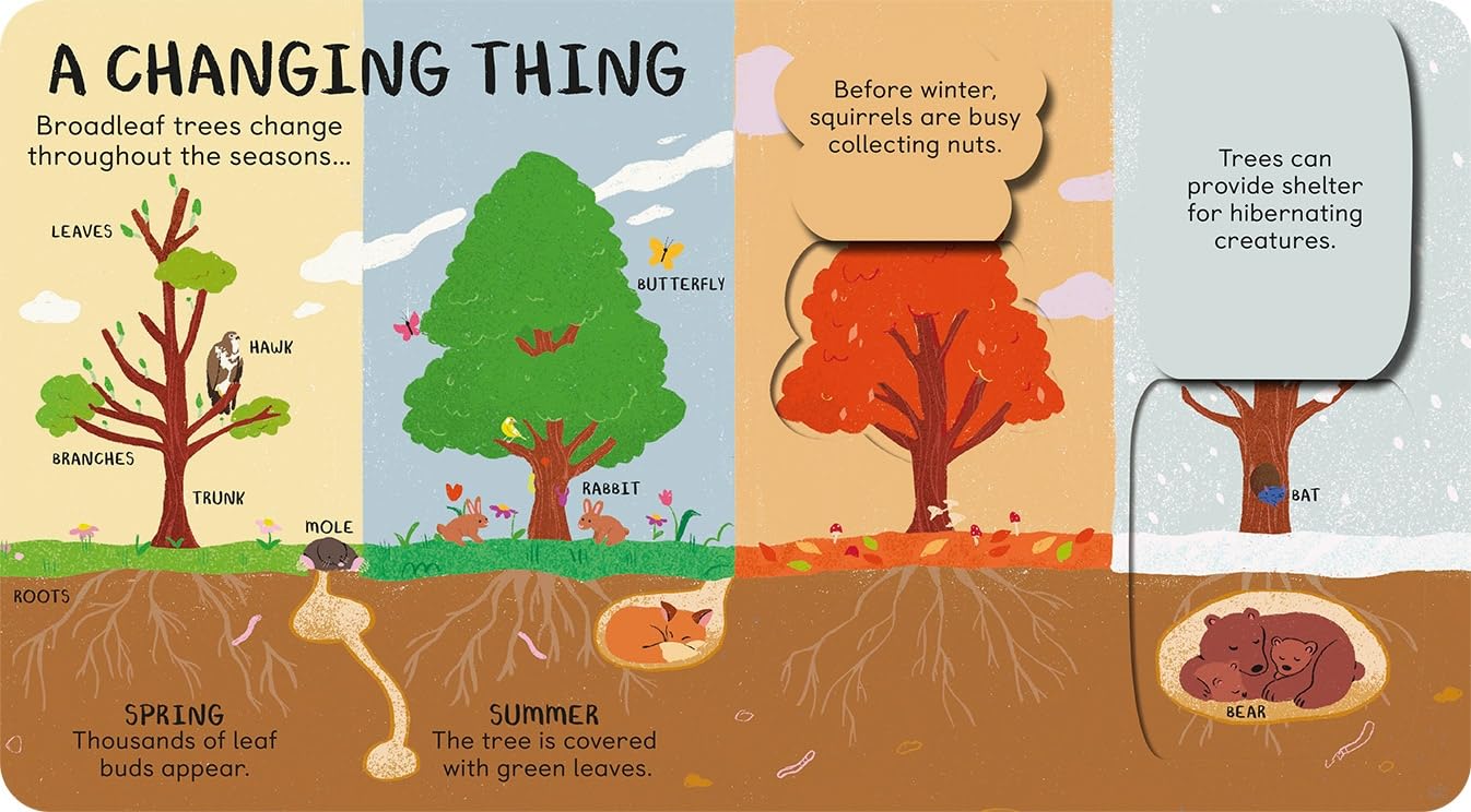 All the Things a Tree Can Be
