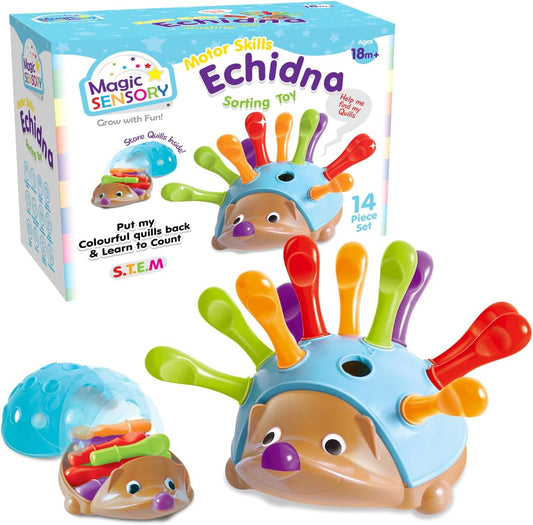 Echidna Sorting Toy