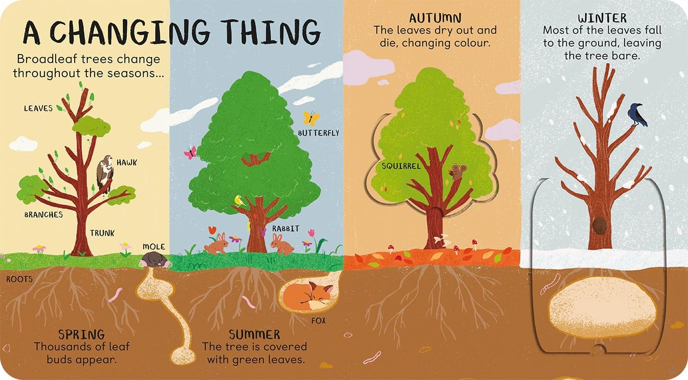 All the Things a Tree Can Be
