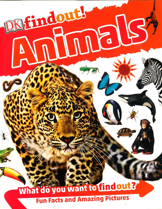 DK Findout! Animals