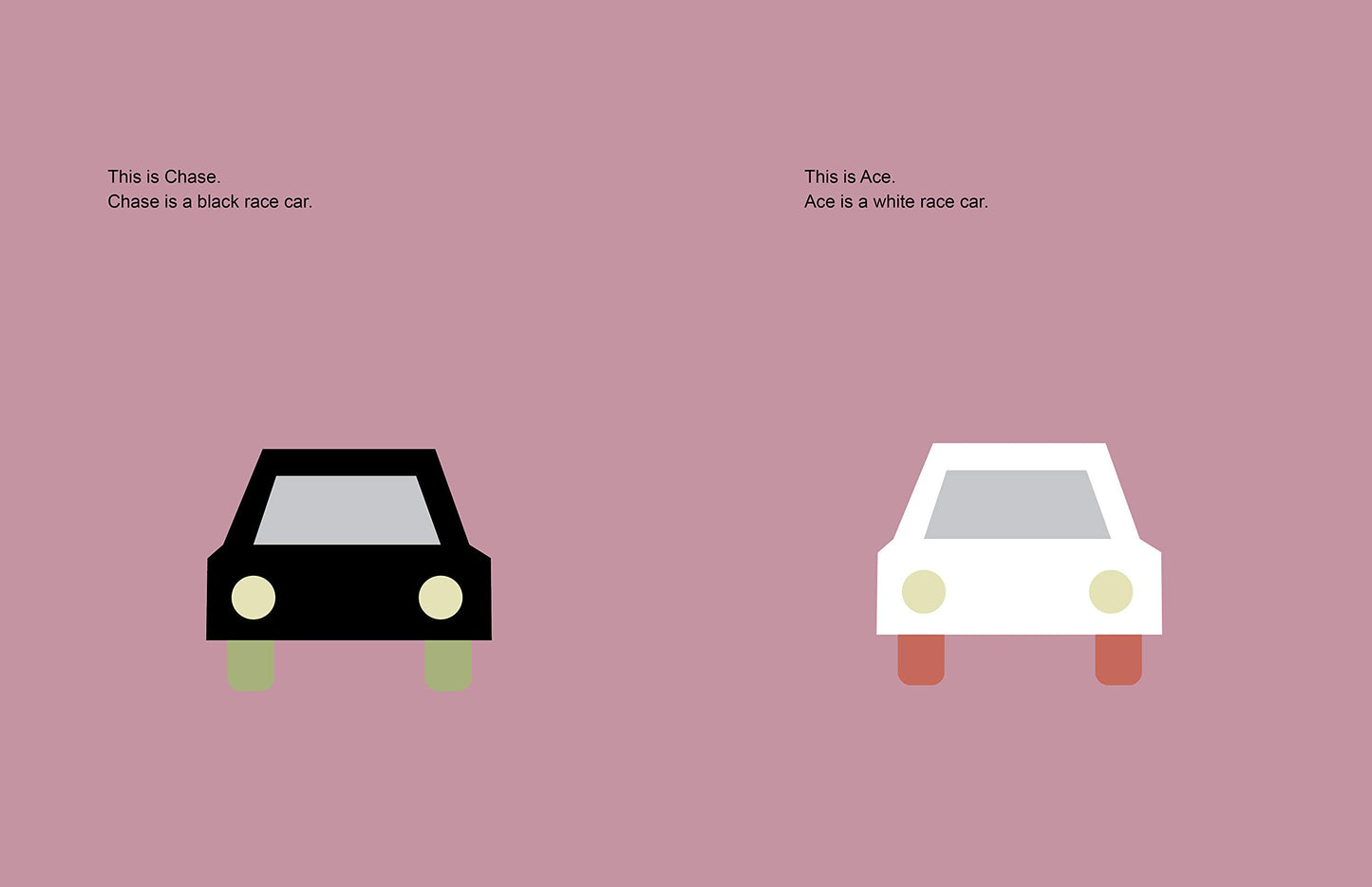 Race Cars