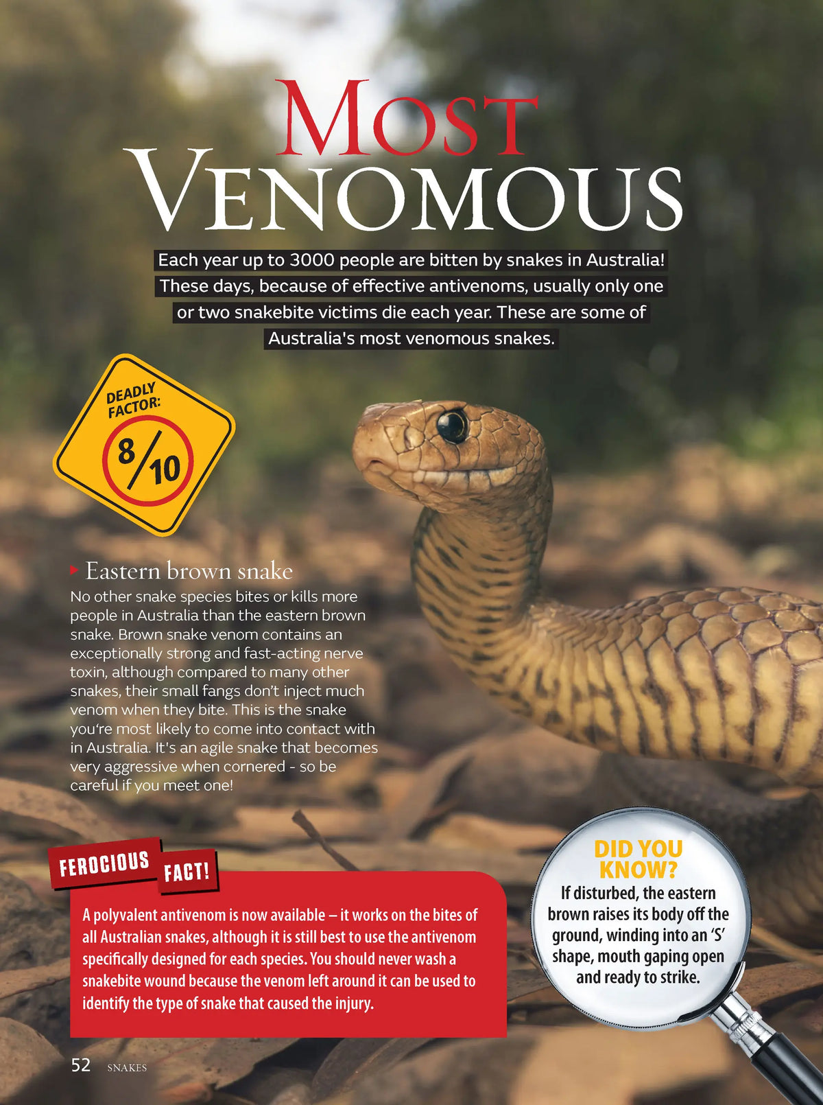 Australia's Most Dangerous Animals