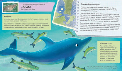 Awesome Animals Pack