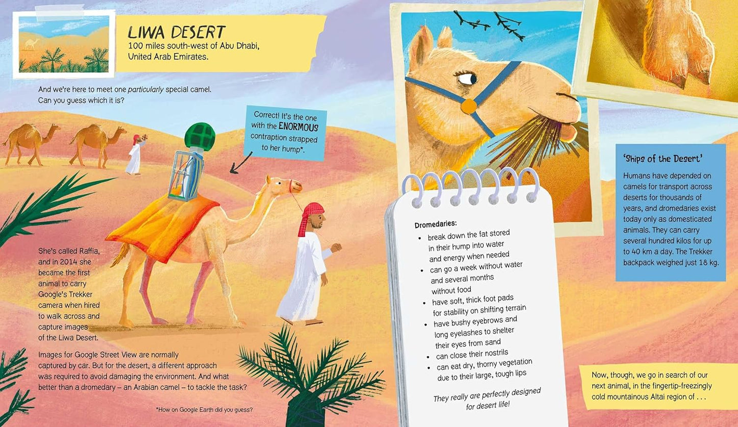 Awesome Animals Pack