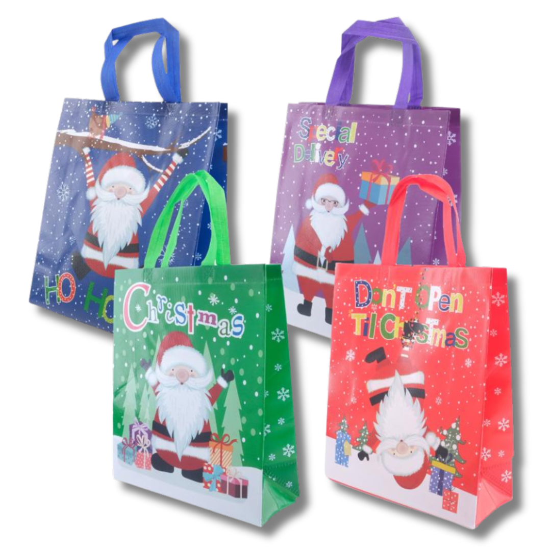 Santa Gift Bag Set of 24