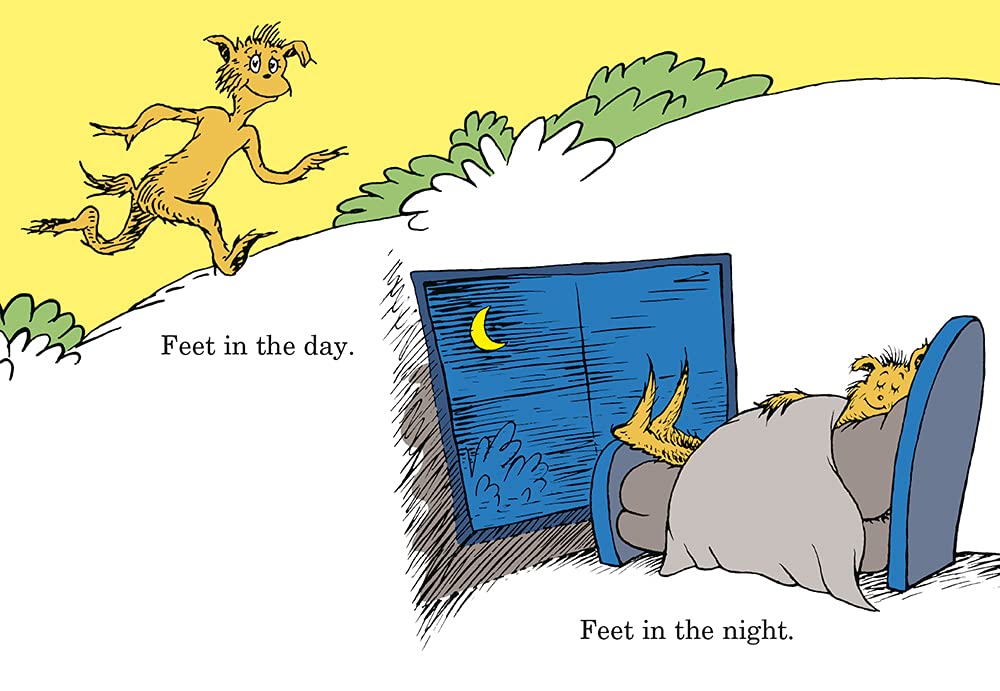 Foot Book