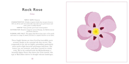 Little Guide to Wildflowers