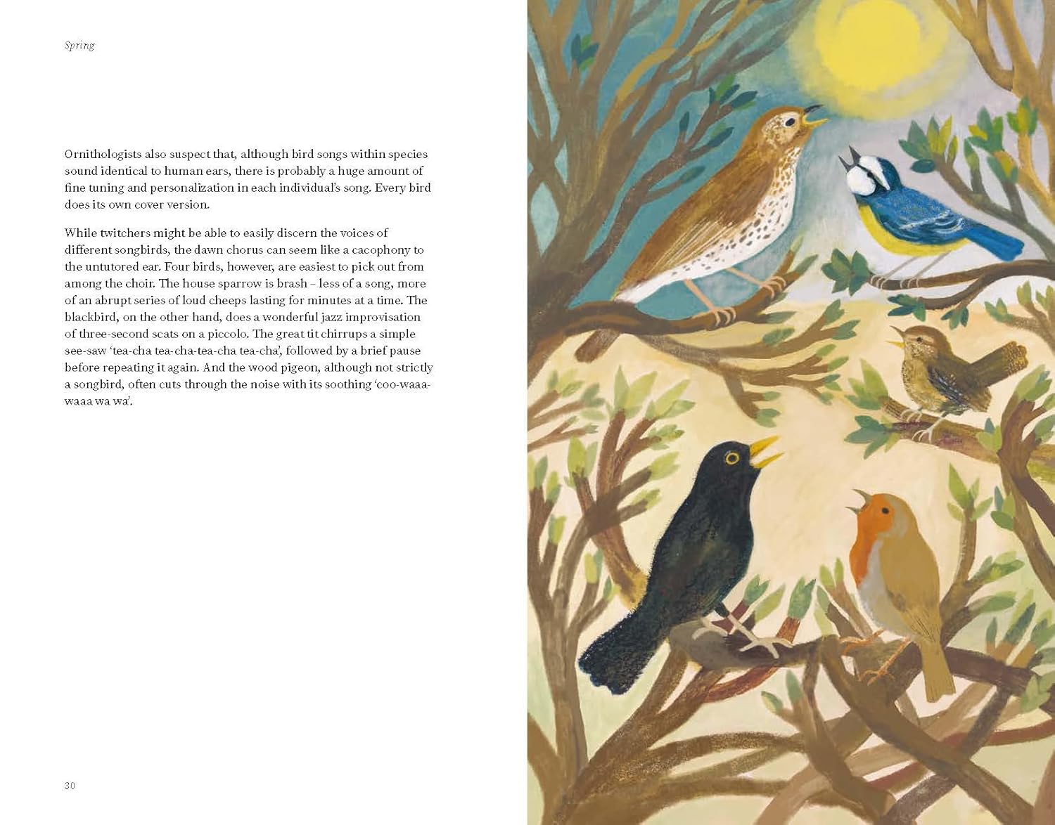 The Wildlife Year – interior page 1