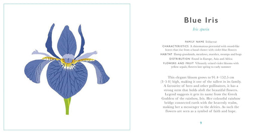 Little Guide to Wildflowers