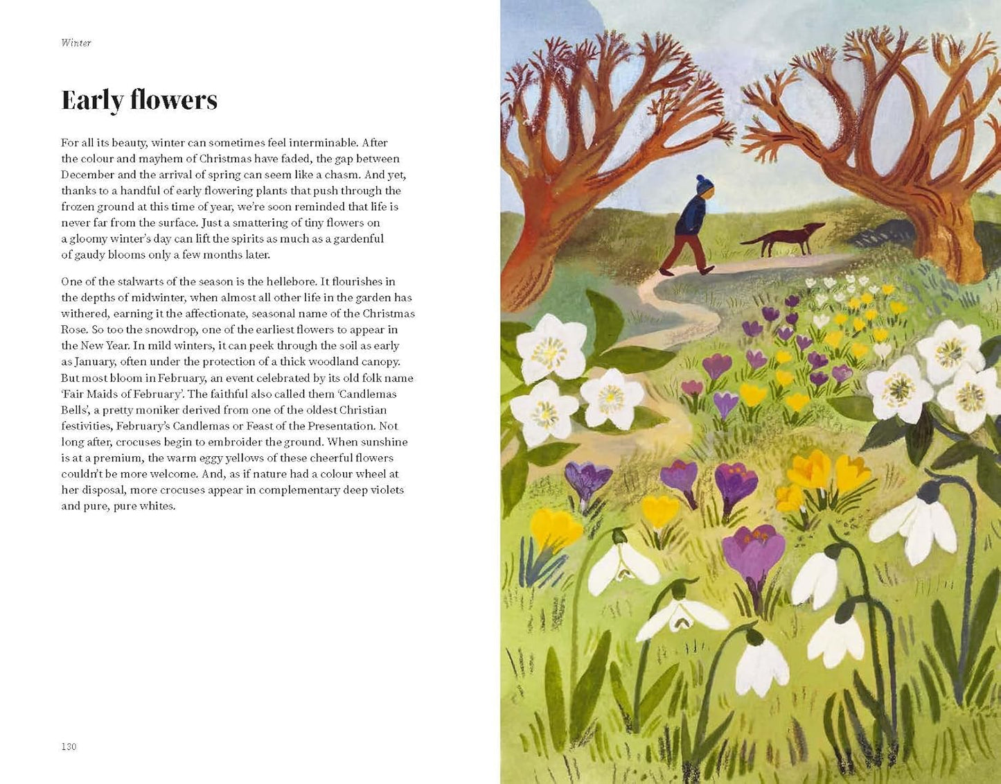The Wildlife Year – interior page 4