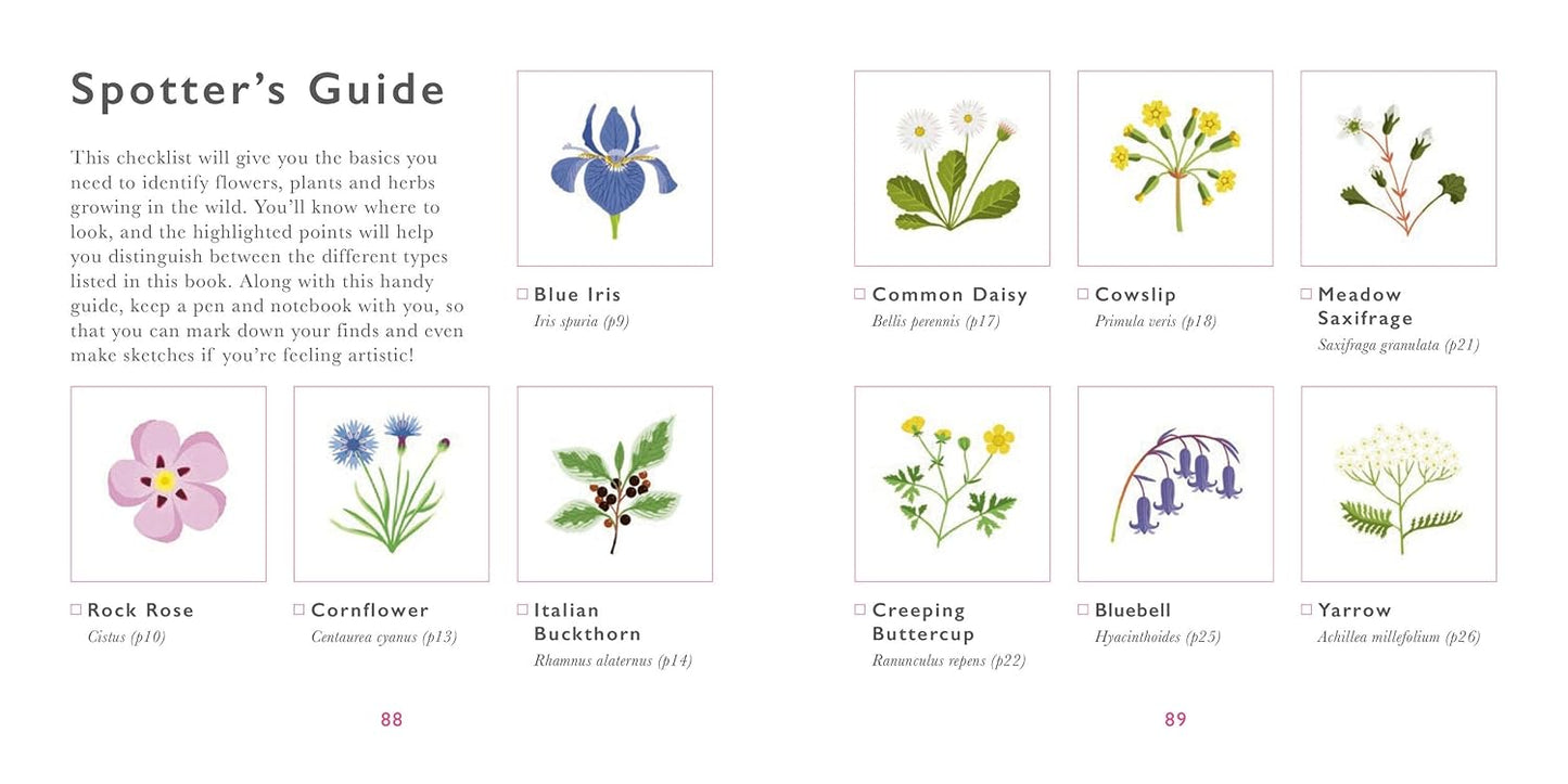 Little Guide to Wildflowers
