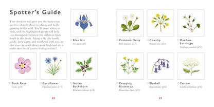 Little Guide to Wildflowers