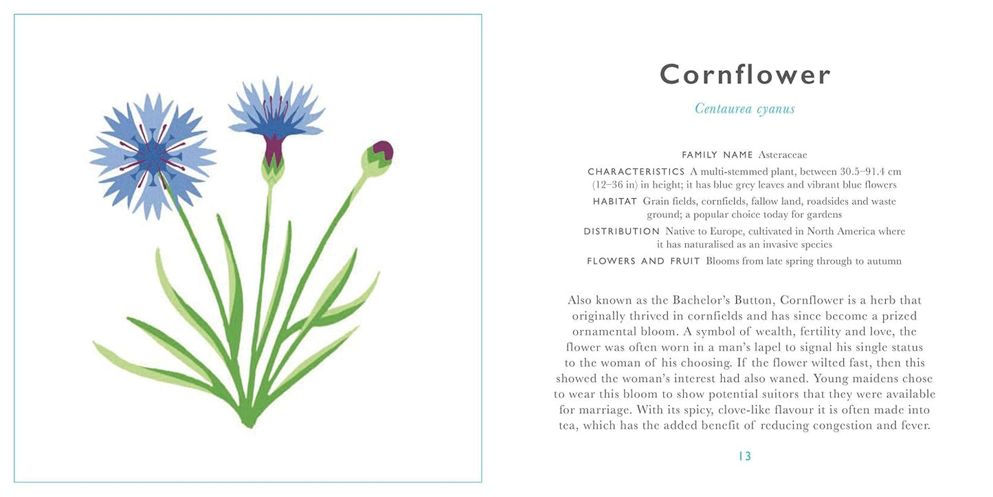 Little Guide to Wildflowers
