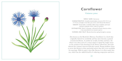 Little Guide to Wildflowers