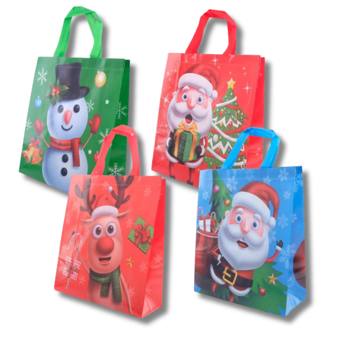 Festive Fun Gift Bag Set of 24
