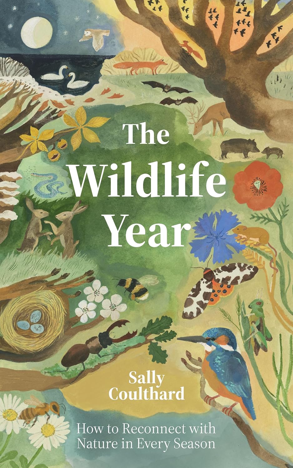 The Wildlife Year – nature book cover
