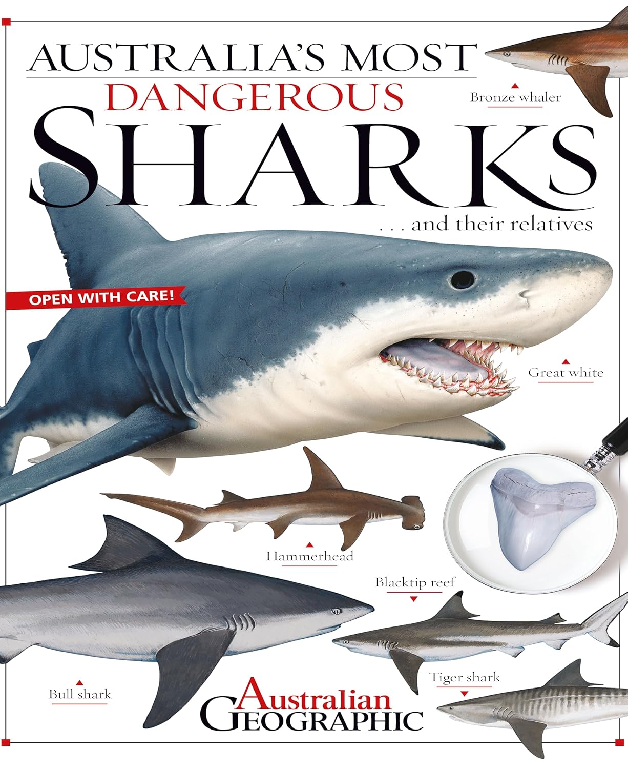 Australia's Most Dangerous – non-fiction book by Australian Geographic for early learning centres
