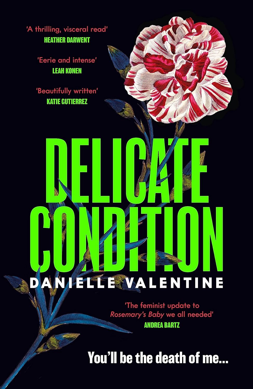 Delicate Condition – novel cover