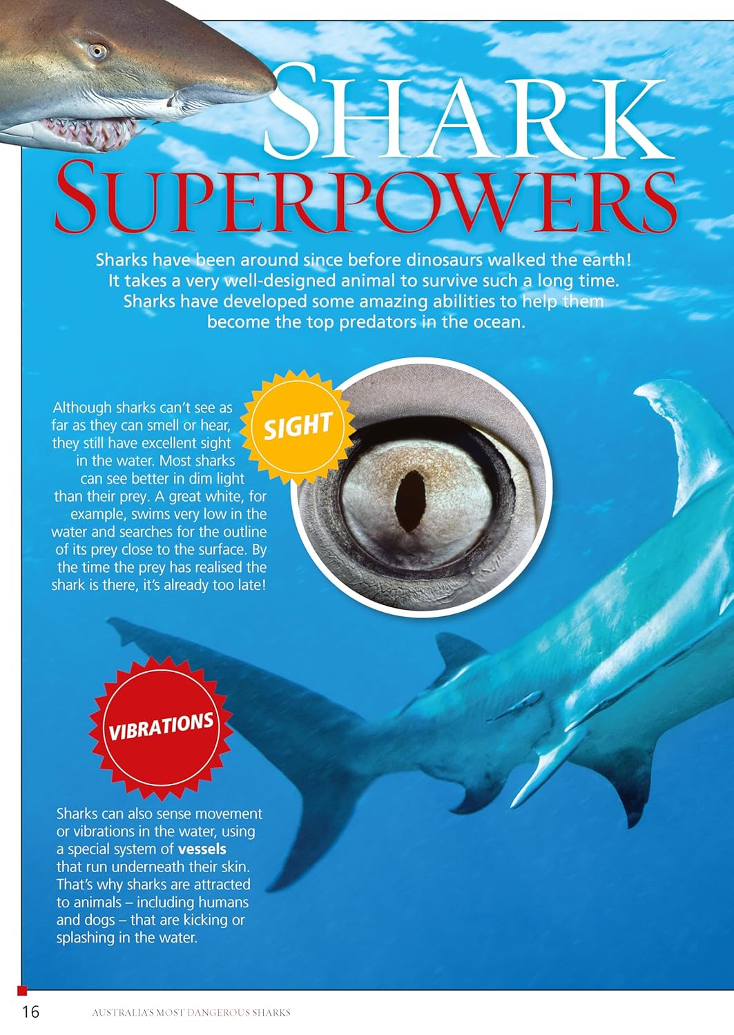 Australia's Most Dangerous – Australian nature book for early learning centres