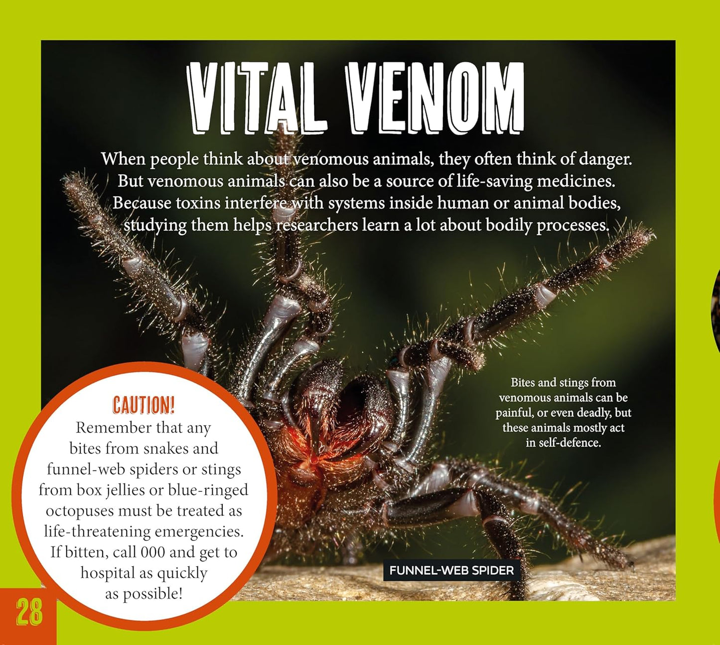 Australia's Most Dangerous – Australian Geographic nature book for early learning centres