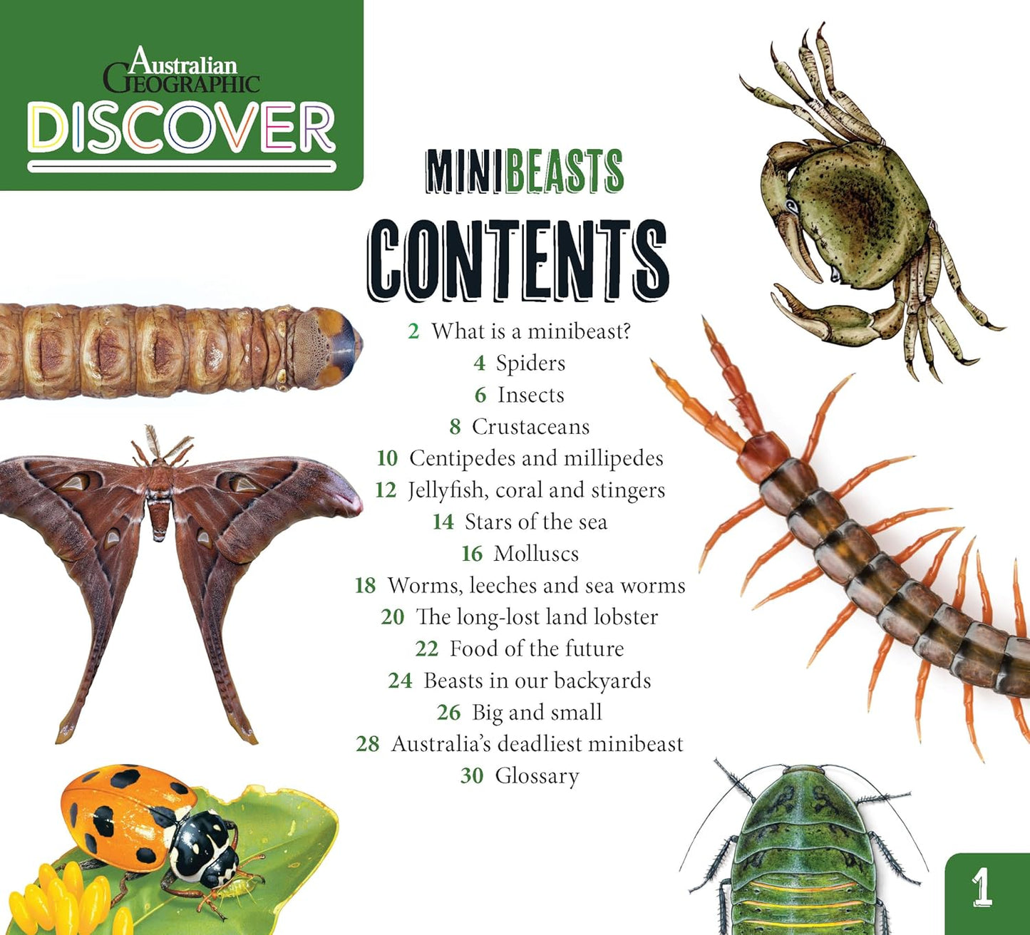 Australian Geographic Discover Pack