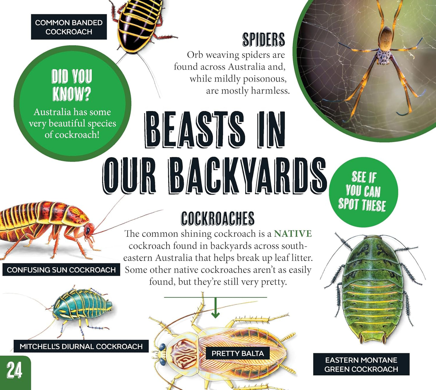 Australian Geographic Discover Pack