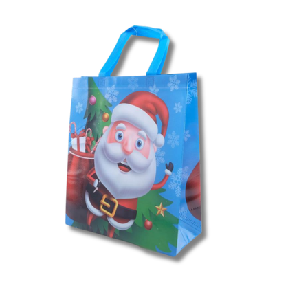 Festive Fun Gift Bag Set of 24