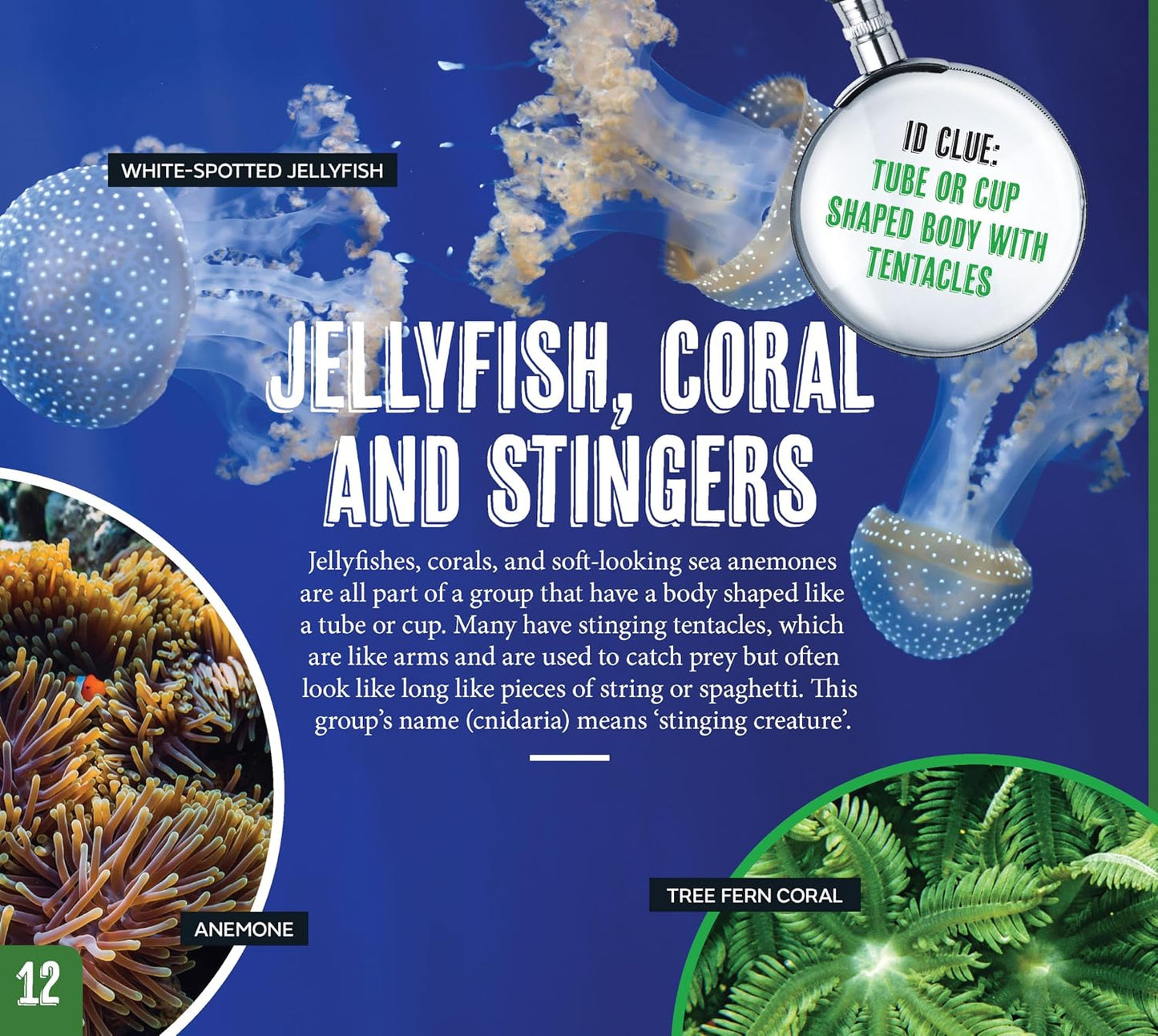 Australian Geographic Discover Pack