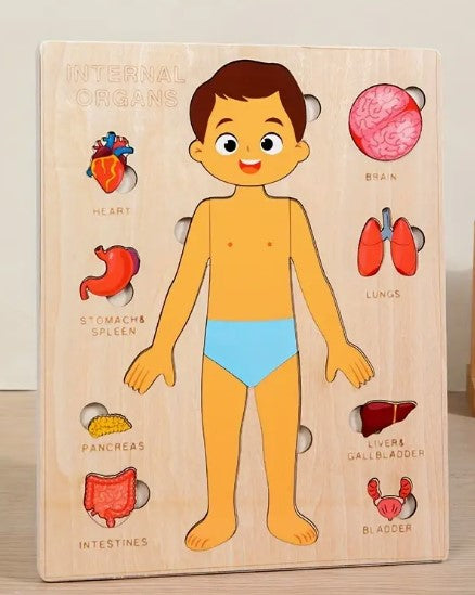 Human Body Puzzle - Boy