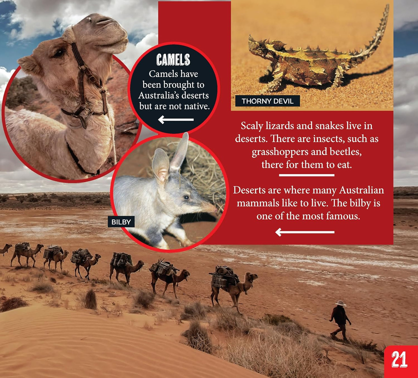 Australian Geographic Discover Pack