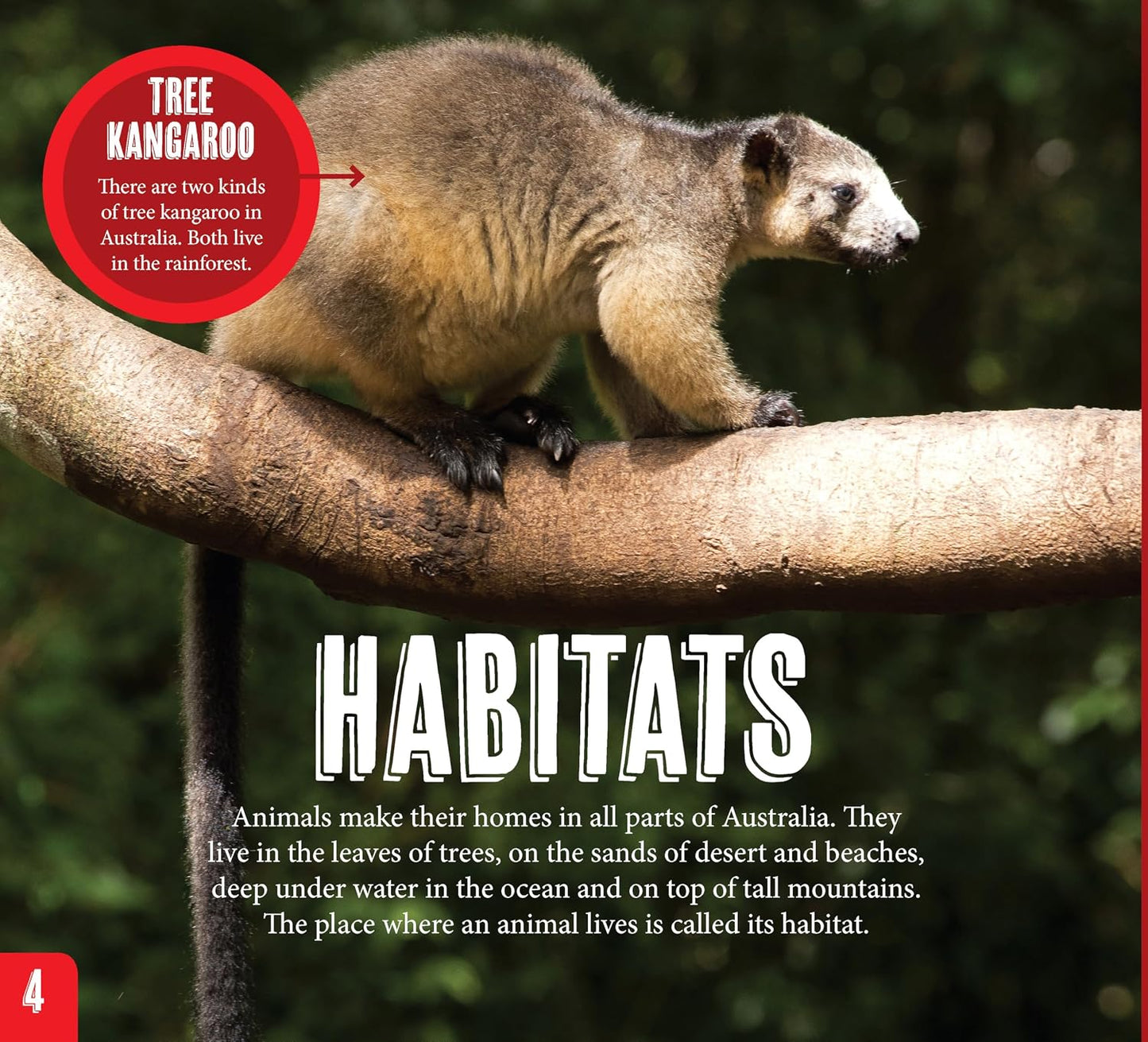 Australian Geographic Discover Pack