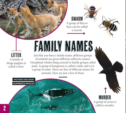 Australian Geographic Discover Pack