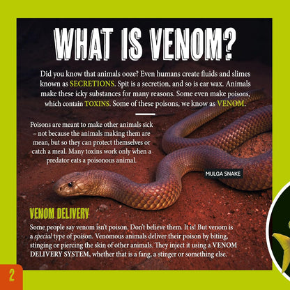 Australia's Most Dangerous – wildlife non-fiction book for early learning centres