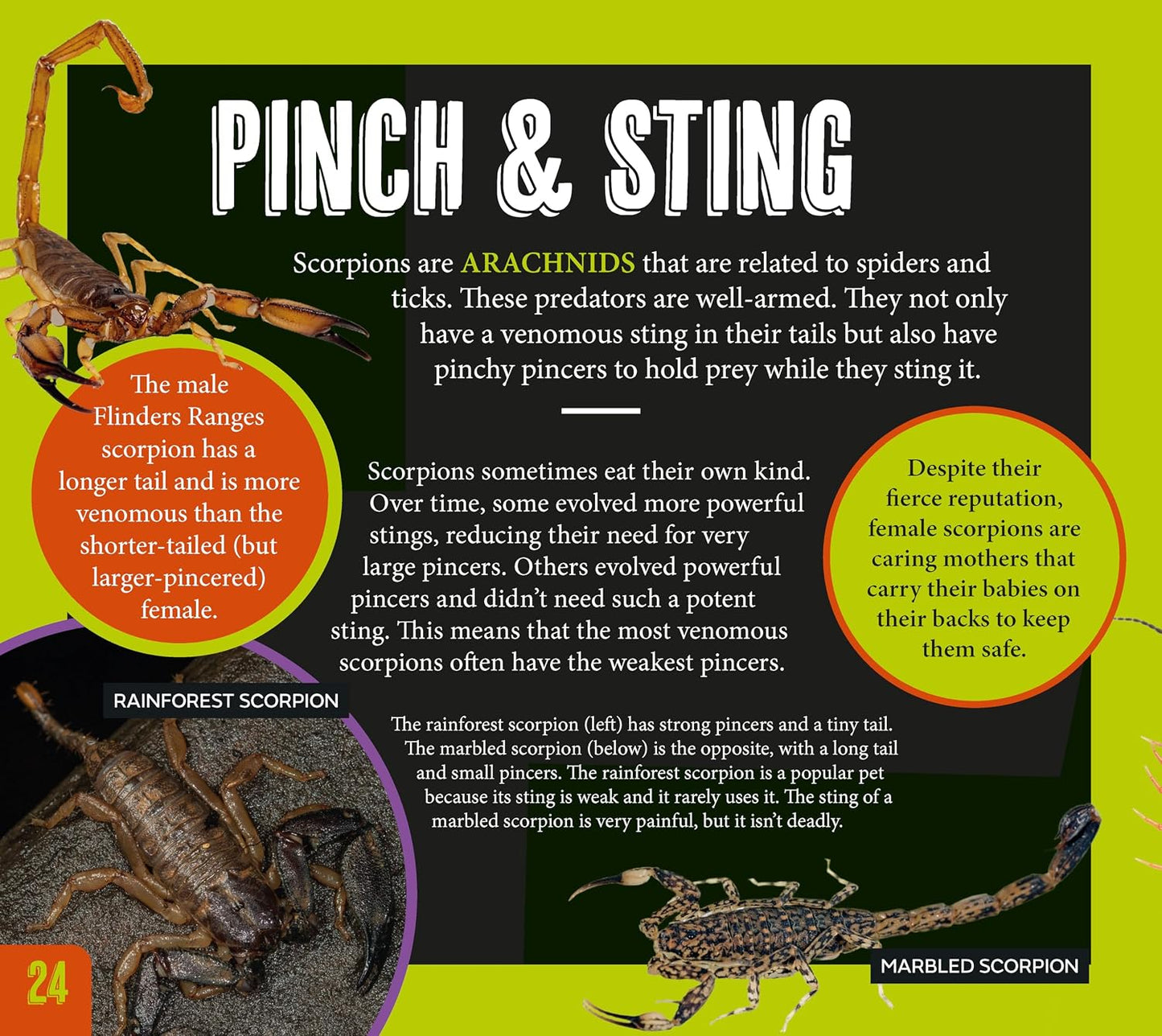 Australian Geographic Discover Pack