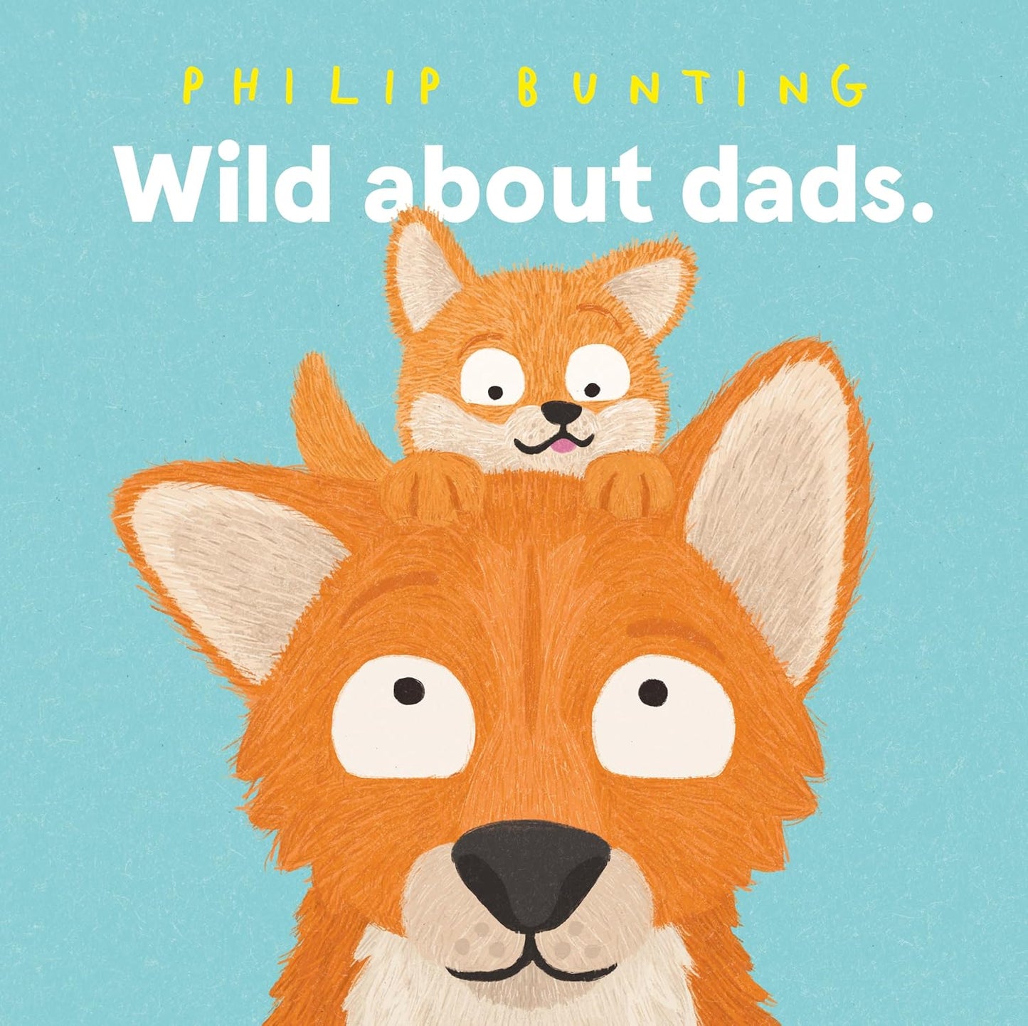 Book cover with two foxes and 'Wild about dads.' text on a blue background