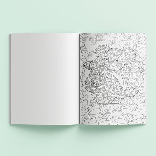 Kaleidoscope Dreamy Australia Colouring Book