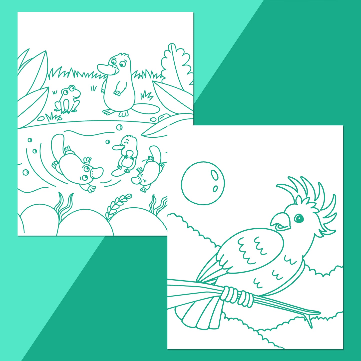 Colour Me Magnets Aussie Animals