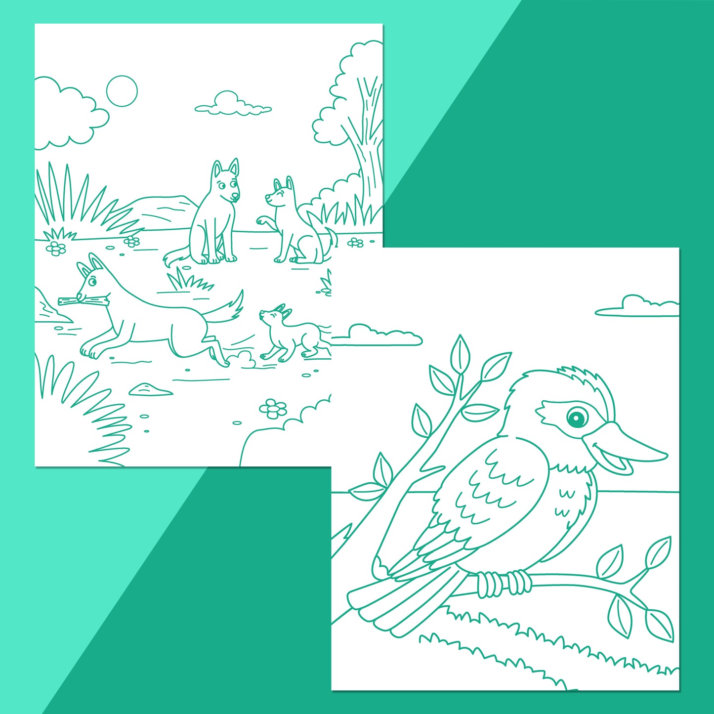 Colour Me Magnets Aussie Animals